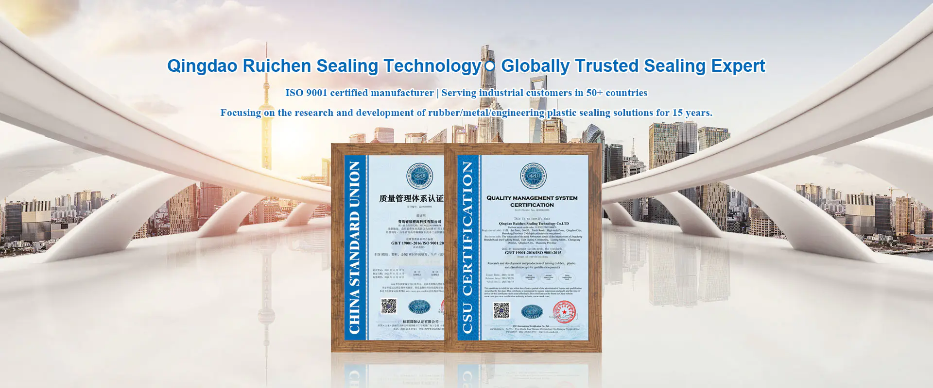 Производител на делови за запечатување на Кина