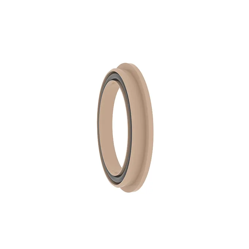 Spring Energized Seal For Rotating Shaft