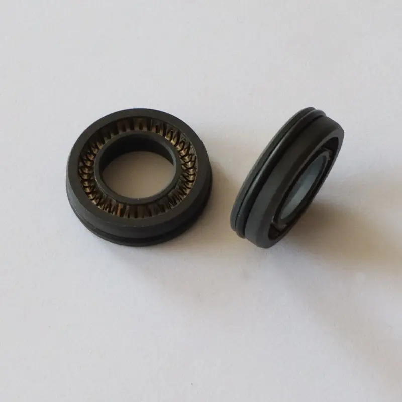 Spring Energized Seal For Rotating Shaft